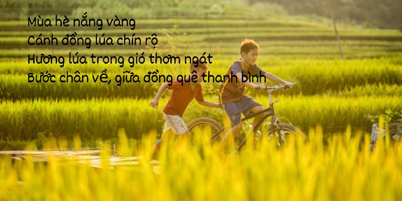 Sưu tầm top 5 bài thơ mùa hè hay và ý nghĩa nhất